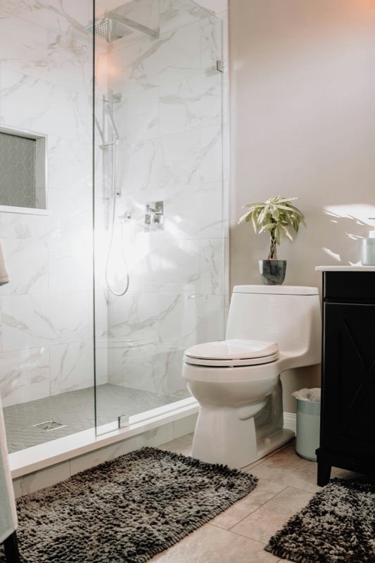 Toilet Repair & Installation